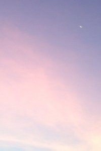 联合队伍士气昂扬，斩获佳绩