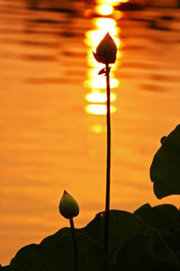 联合队伍士气昂扬，斩获佳绩