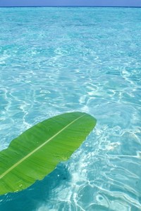 惊艳！那一刻，全场沸腾，掌声如潮！