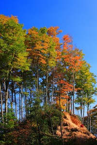 惊艳！那一刻，全场沸腾，掌声如潮！
