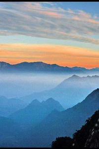 佛罗伦萨反弹势头迅猛，重返争冠行列