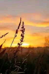 圣彼得罗的守护神！卡利亚里门将神勇扑救，铸就三分荣耀！