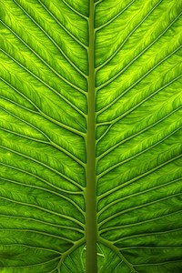 联合队伍士气昂扬，斩获佳绩