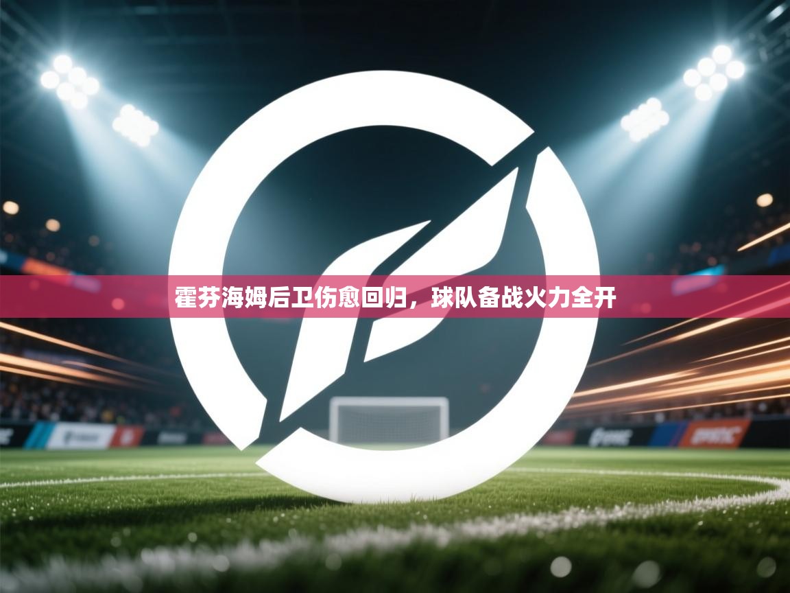 霍芬海姆后卫伤愈回归，球队备战火力全开  第2张